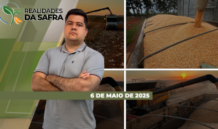Realidades da Safra - Notícias Agrícolas