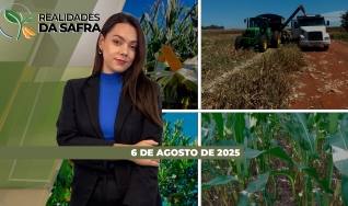 Realidades da Safra - Notícias Agrícolas