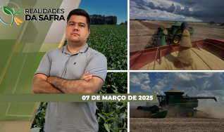 Realidades da Safra - Notícias Agrícolas