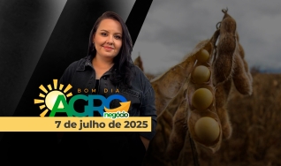 Bom Dia Agro - Com Carla Mendes