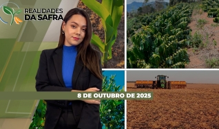 Realidades da Safra - Notícias Agrícolas