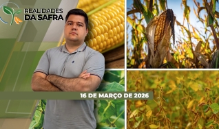 Realidades da Safra - Notícias Agrícolas