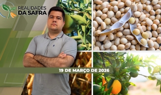 Realidades da Safra - Notícias Agrícolas