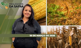 Realidades da Safra - Notícias Agrícolas