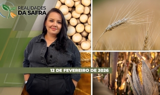 Realidades da Safra