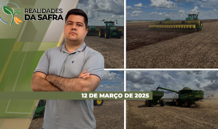 Realidades da Safra - Notícias Agrícolas
