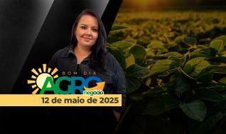 Bom Dia Agro - Com Carla Mendes