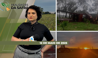 Realidades da Safra - Notícias Agrícolas
