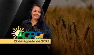 Bom Dia Agro - Com Carla Mendes