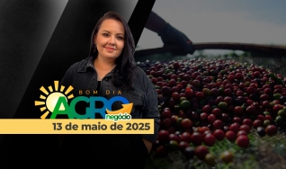 Bom Dia Agro - Com Carla Mendes