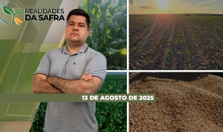 Realidades da Safra - Notícias Agrícolas