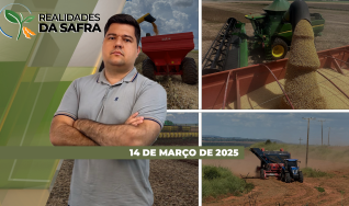 Realidades da Safra - Notícias Agrícolas