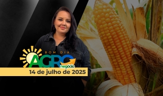Bom Dia Agro - Com Carla Mendes