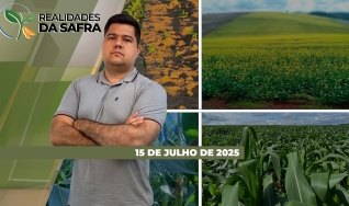 Realidades da Safra - Notícias Agrícolas