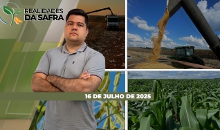 Realidades da Safra - Notícias Agrícolas