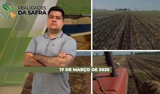 Realidades da Safra - Notícias Agrícolas