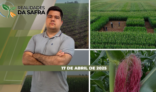 Realidades da Safra - Notícias Agrícolas
