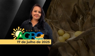 Bom Dia Agro - Com Carla Mendes