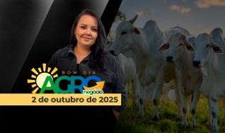 Bom Dia Agro - Com Carla Mendes