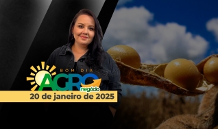 Bom Dia Agro - Com Carla Mendes