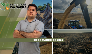 Realidades da Safra - Notícias Agrícolas