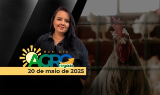 Bom Dia Agro - Com Carla Mendes