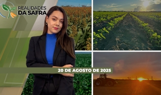 Realidades da Safra - Notícias Agrícolas