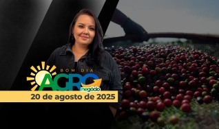 Bom Dia Agro - Com Carla Mendes