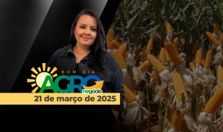 Bom Dia Agro - Com Carla Mendes