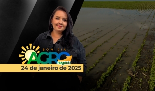 Bom Dia Agro - Com Carla Mendes