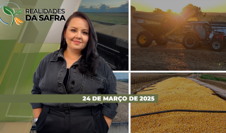 Realidades da Safra - Notícias Agrícolas