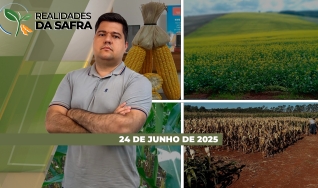 Realidades da Safra - Notícias Agrícolas