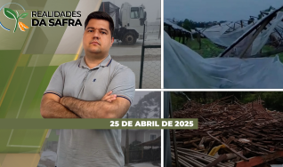 Realidades da Safra - Notícias Agrícolas