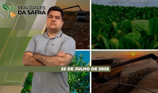 Realidades da Safra - Notícias Agrícolas