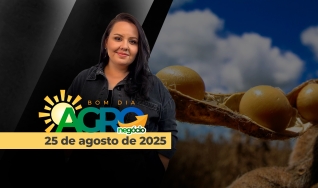 Bom Dia Agro - Com Carla Mendes