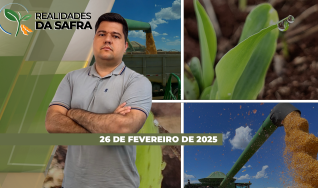 Realidades da Safra - Notícias Agrícolas