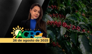 Bom Dia Agro - Com Andressa Simão