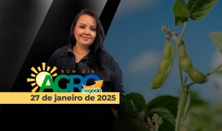 Bom Dia Agro - Com Carla Mendes