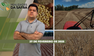Realidades da Safra - Notícias Agrícolas
