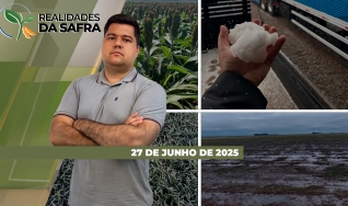 Realidades da Safra - Notícias Agrícolas