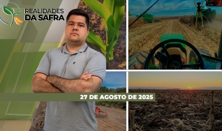 Realidades da Safra - Notícias Agrícolas