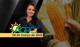 Bom Dia Agro - Com Carla Mendes
