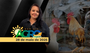 Bom Dia Agro - Com Carla Mendes