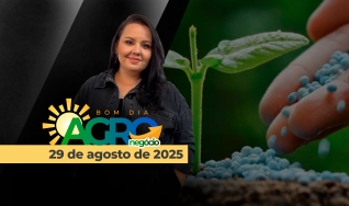 Bom Dia Agro - Com Carla Mendes