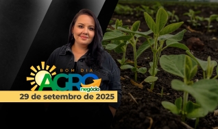 Bom Dia Agro - Com Carla Mendes