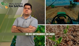 Realidades da Safra - Notícias Agrícolas