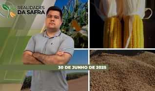 Realidades da Safra - Notícias Agrícolas