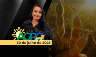 Bom Dia Agro - Com Carla Mendes