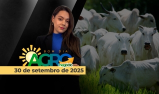 Bom Dia Agro - com Andressa Simão