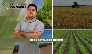 Realidades da Safra - Notícias Agrícolas